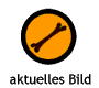 aktuelles Bild